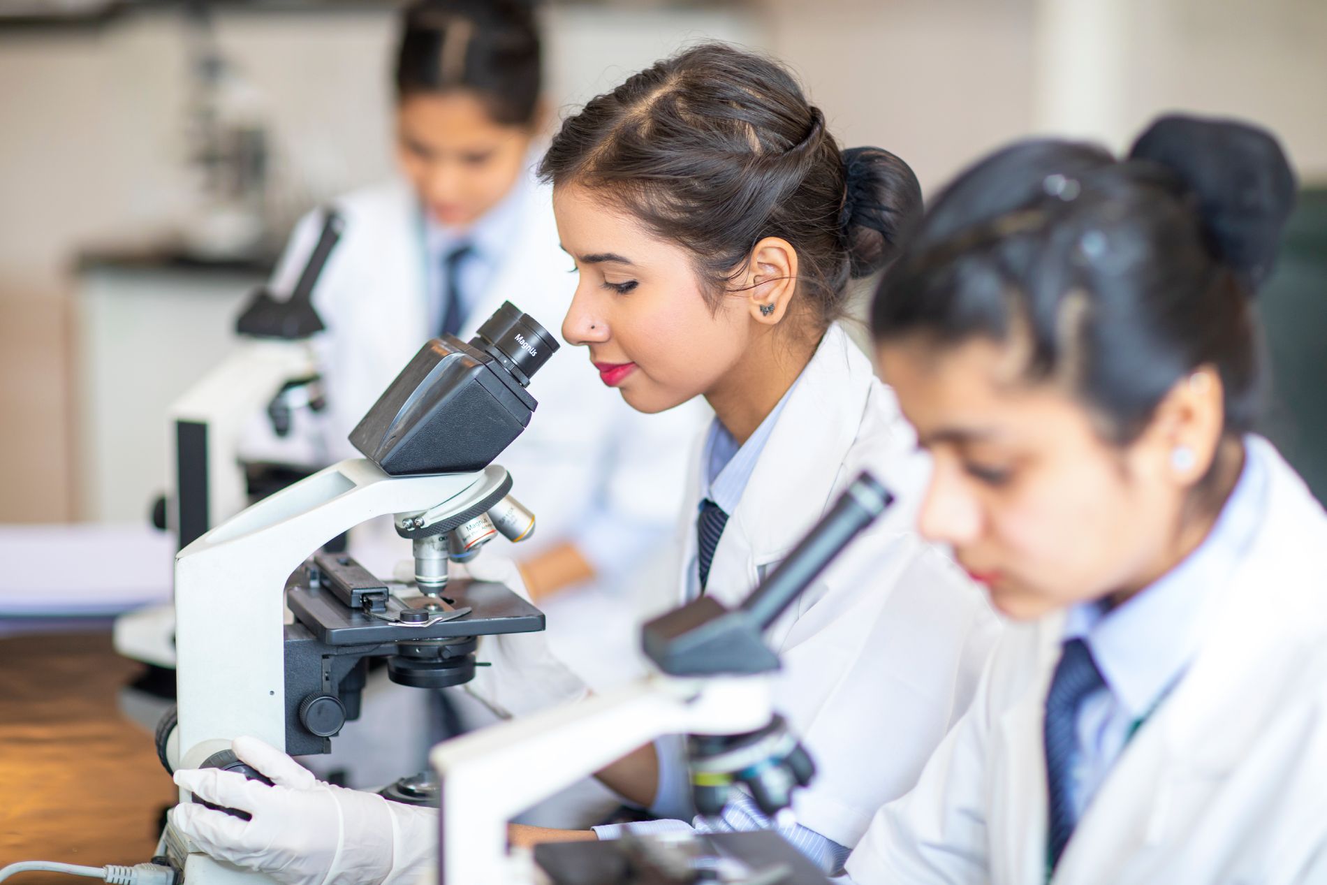 Course - Diploma in Computer Application - 6 Month