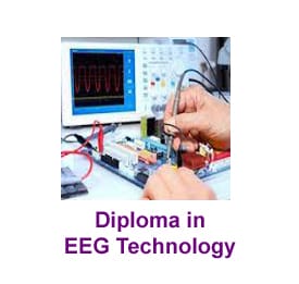 Course - Diploma in Computer Application - 6 Month