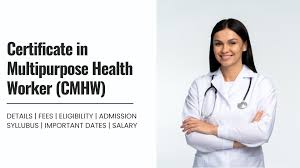 Course - Diploma in Computer Application - 6 Month